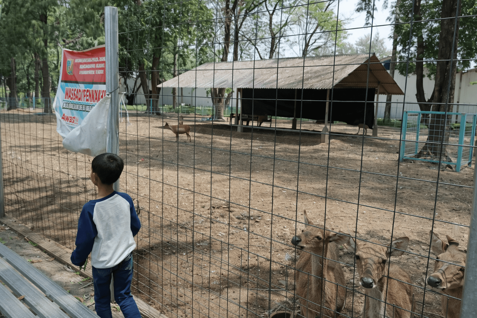 Kidangan Mini Zoo thumbnail