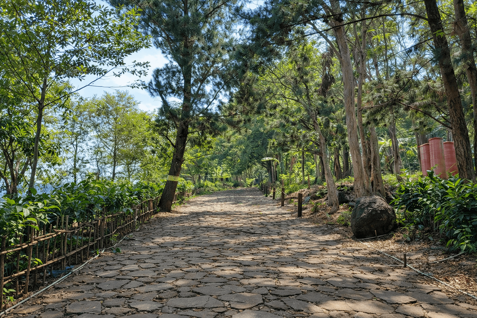Wana Wisata Pinus Kajar thumbnail