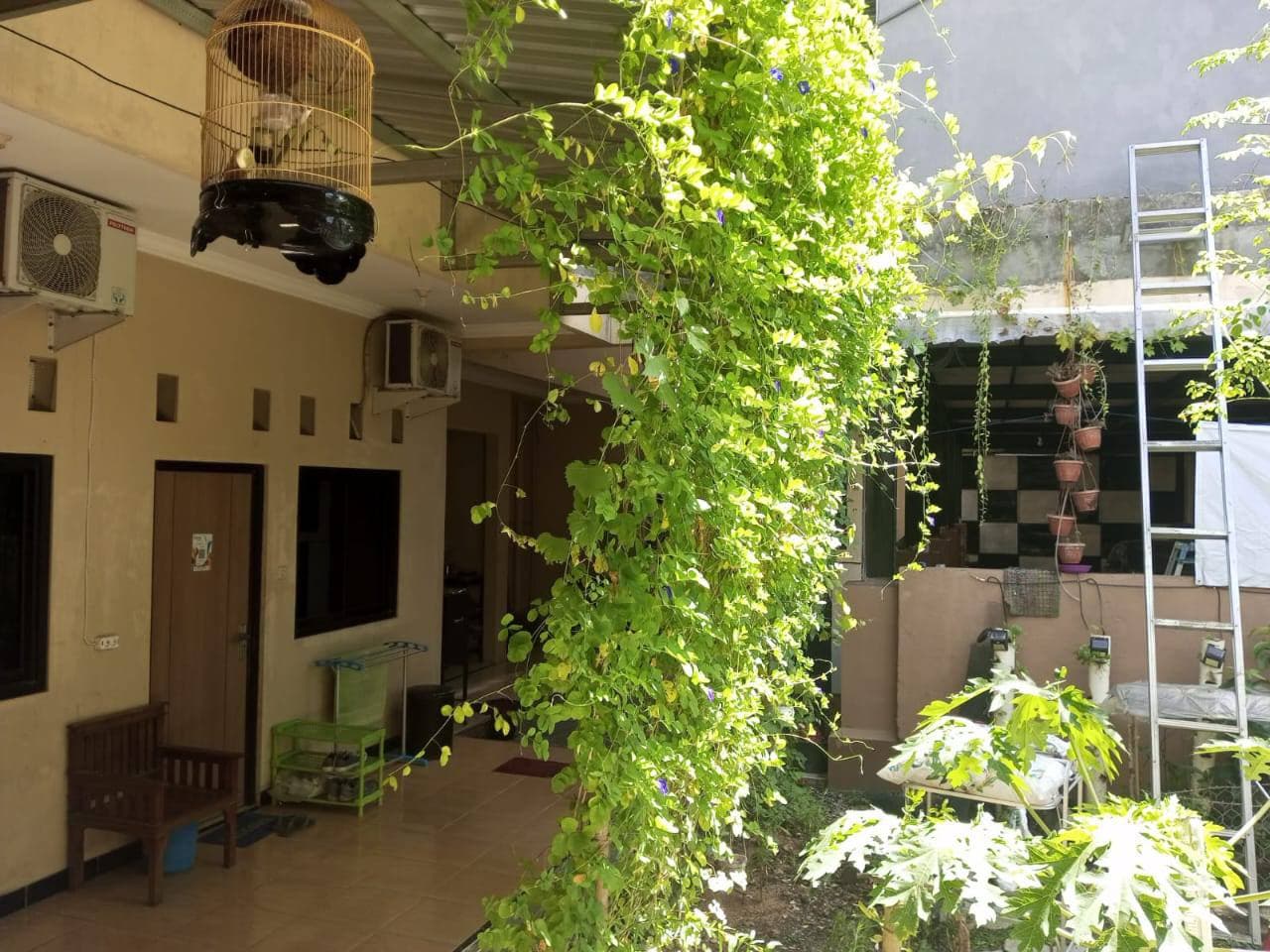 Naga Homestay thumbnail