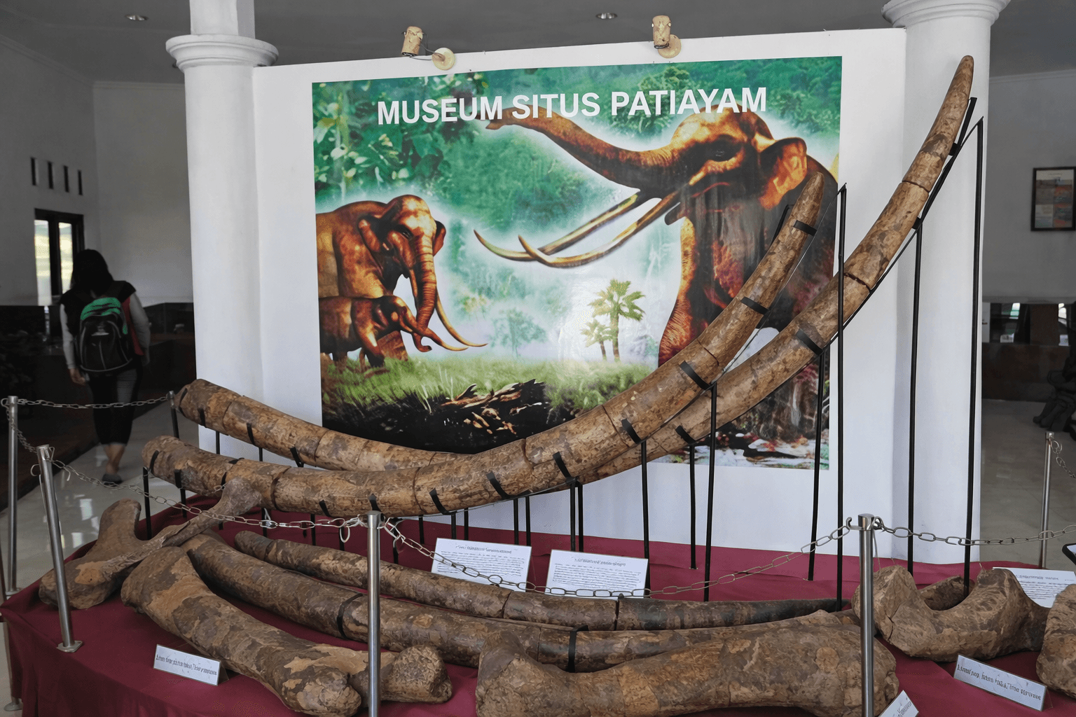 Museum Situs Purbakala Patiayam thumbnail